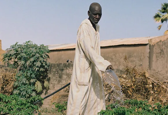 HSF_eau-courante-pour-champs_Senegal-582x400