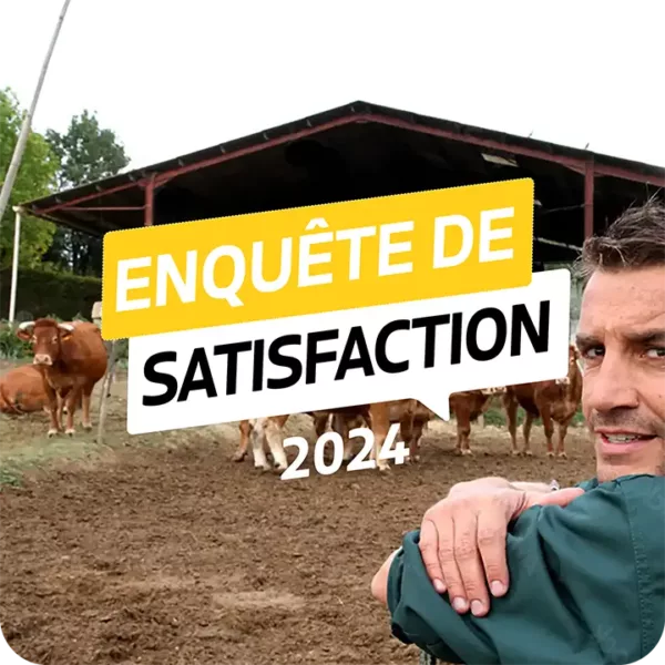 2024 satisfaction survey