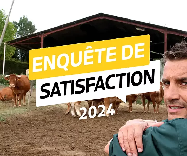 2024 satisfaction survey 2024 satisfaction survey